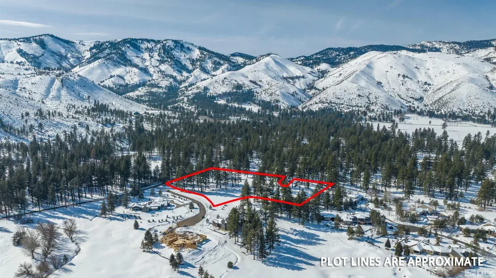 1 Pine Mesa Washoe Valley NV 89704