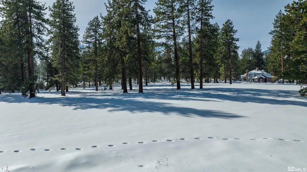 1 Pine Mesa Washoe Valley NV 89704