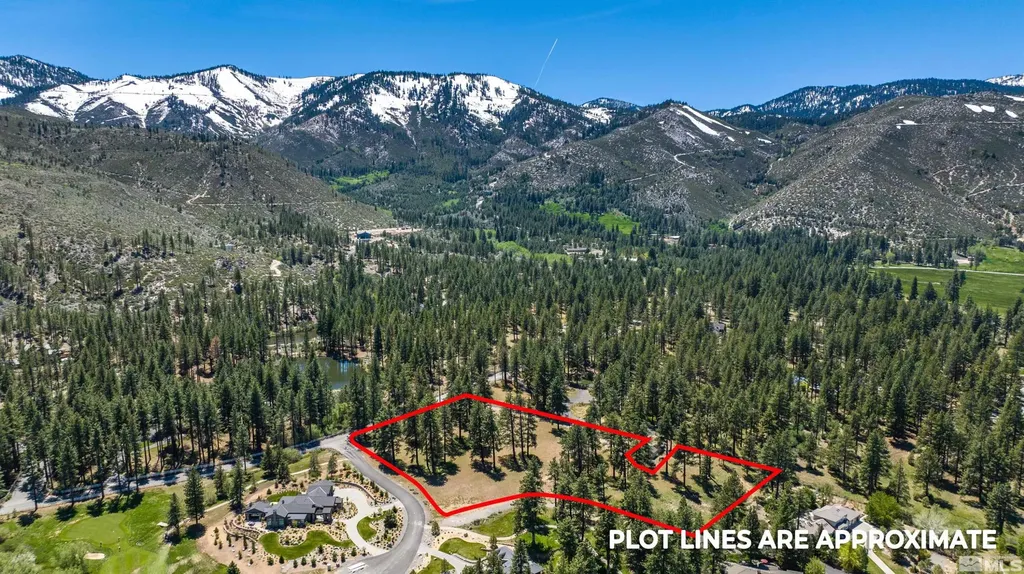 1 Pine Mesa Washoe Valley NV 89704