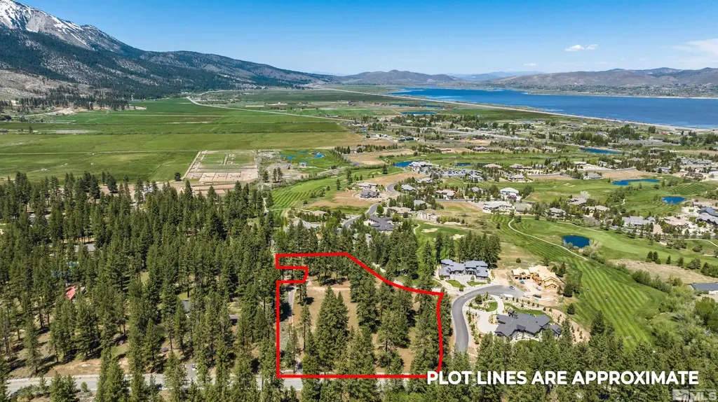 1 Pine Mesa Washoe Valley NV 89704