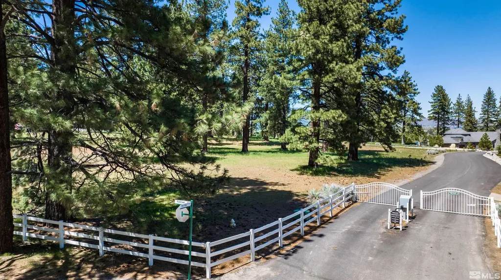 1 Pine Mesa Washoe Valley NV 89704