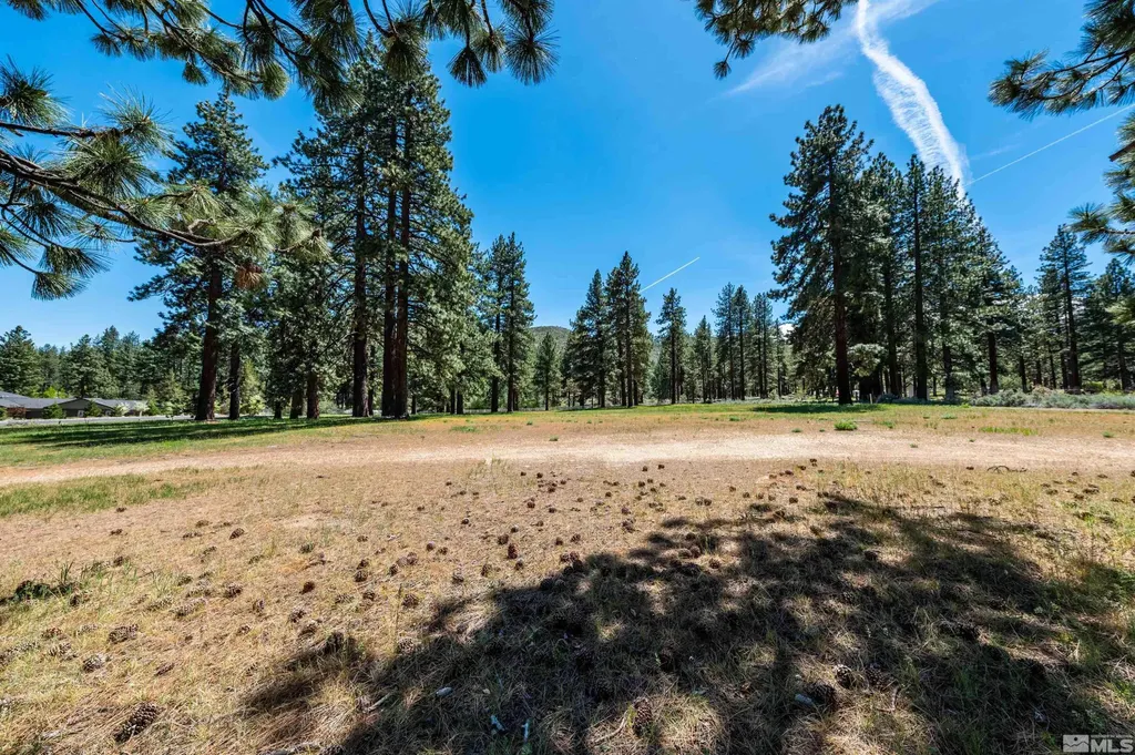 1 Pine Mesa Washoe Valley NV 89704