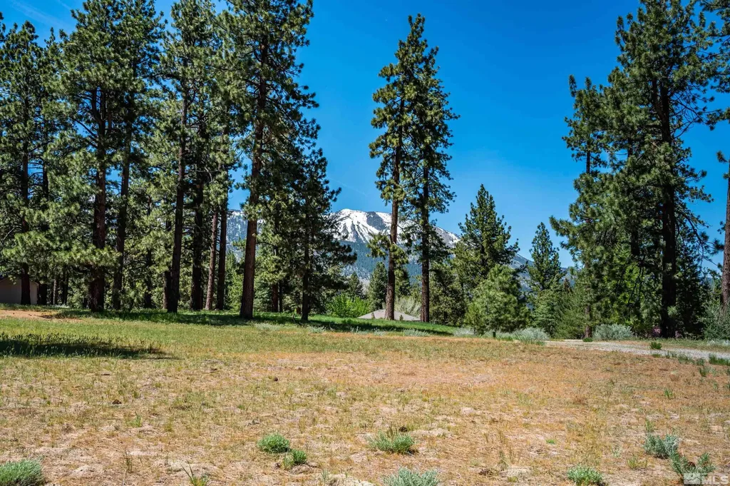 1 Pine Mesa Washoe Valley NV 89704