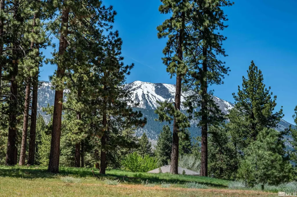 1 Pine Mesa Washoe Valley NV 89704