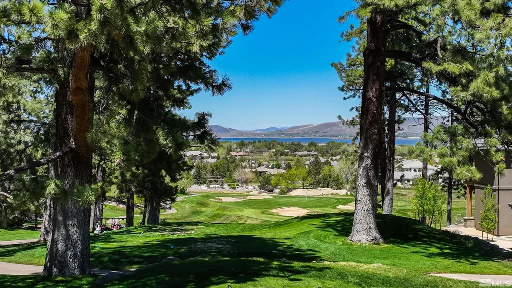 1 Pine Mesa Washoe Valley NV 89704