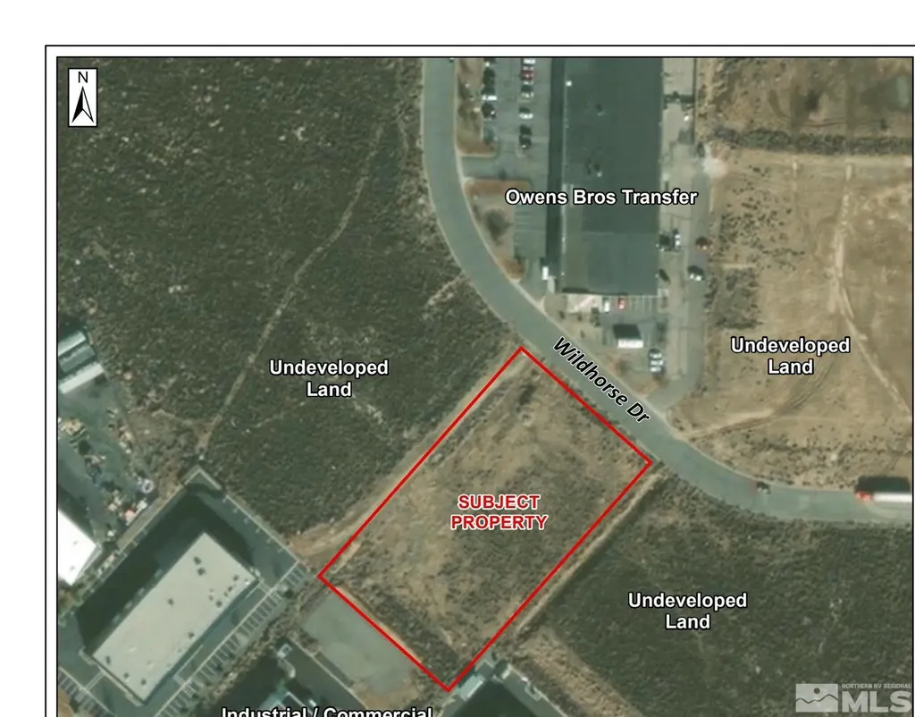 2578 Wildhorse Minden NV 89423