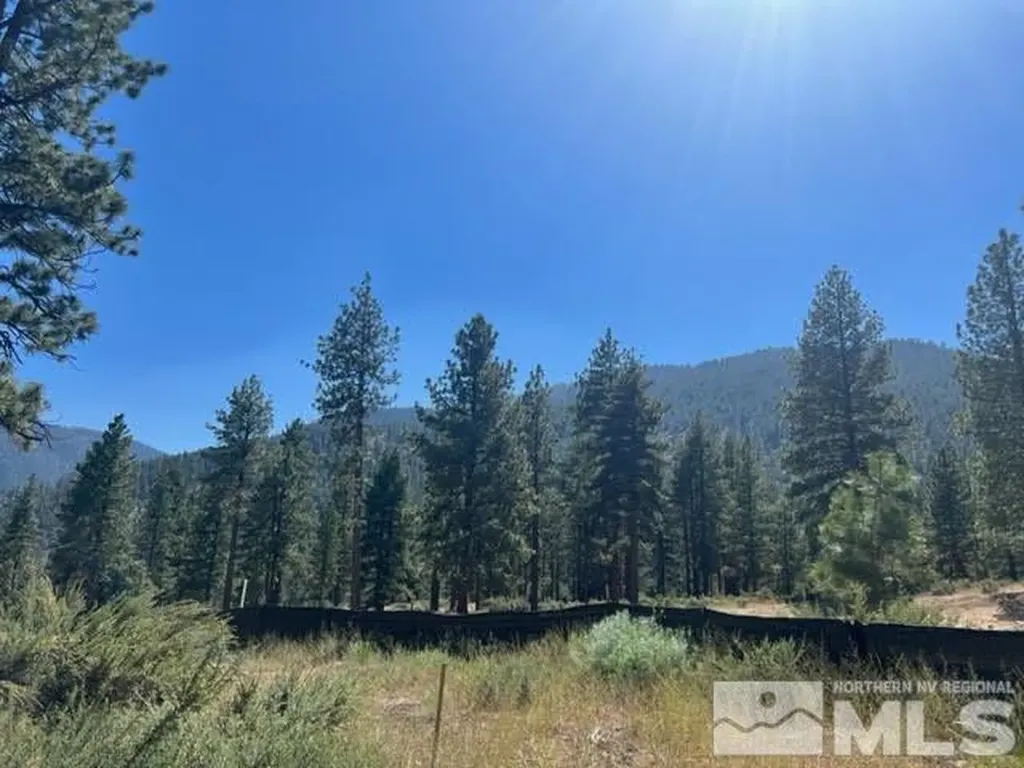 3582 Knob Point Carson City NV 89705