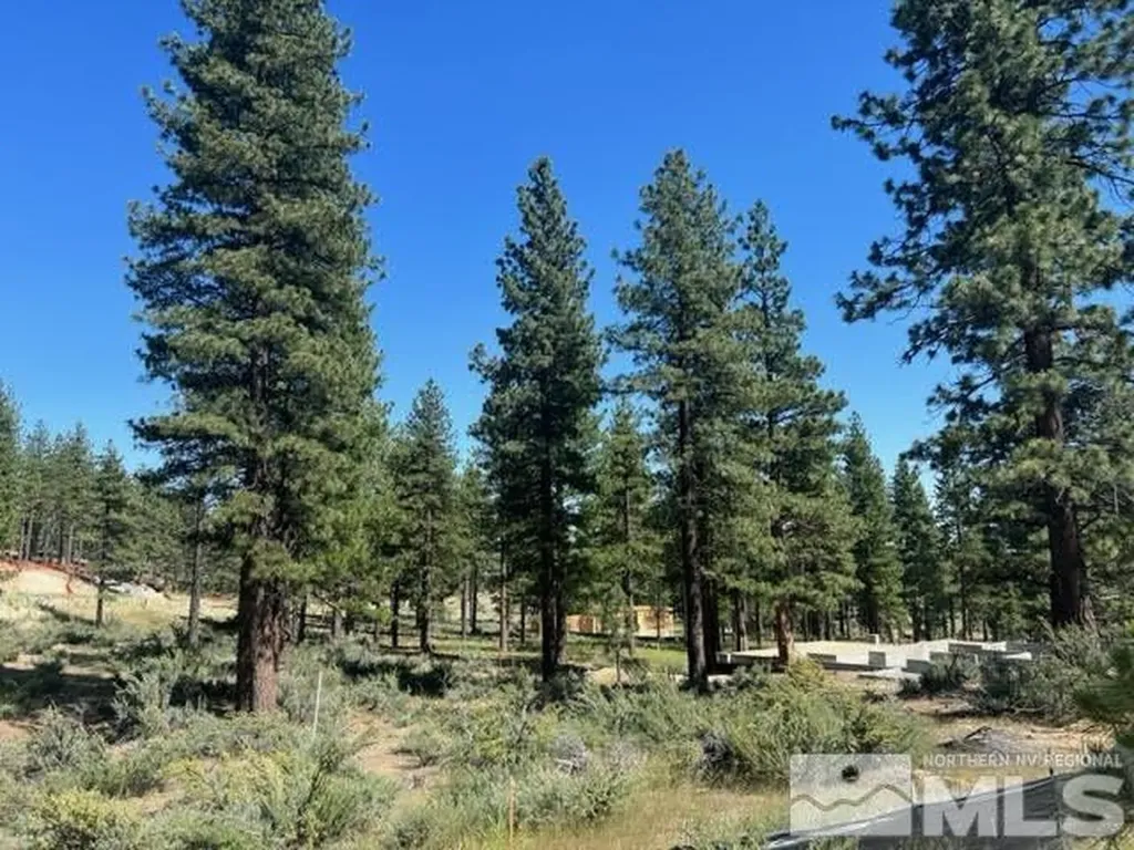 3582 Knob Point Carson City NV 89705