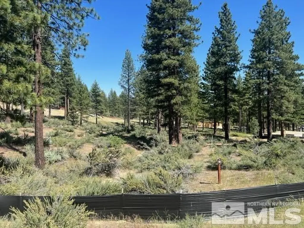 3582 Knob Point Carson City NV 89705