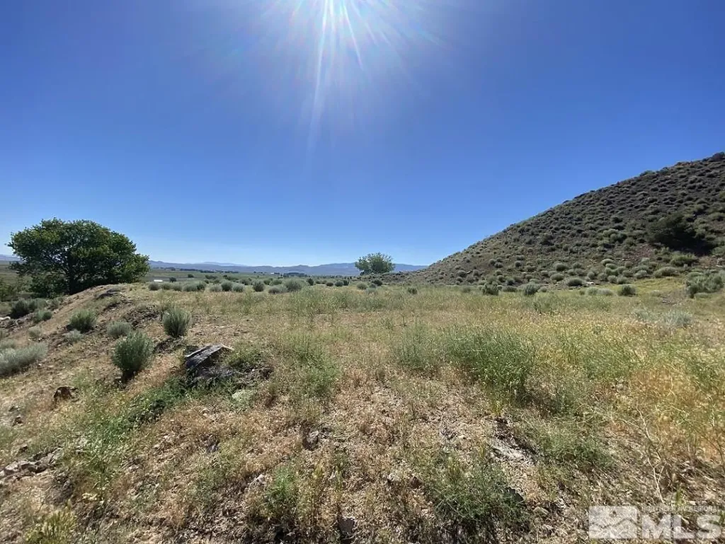 26 Valley View Wellington NV 89444