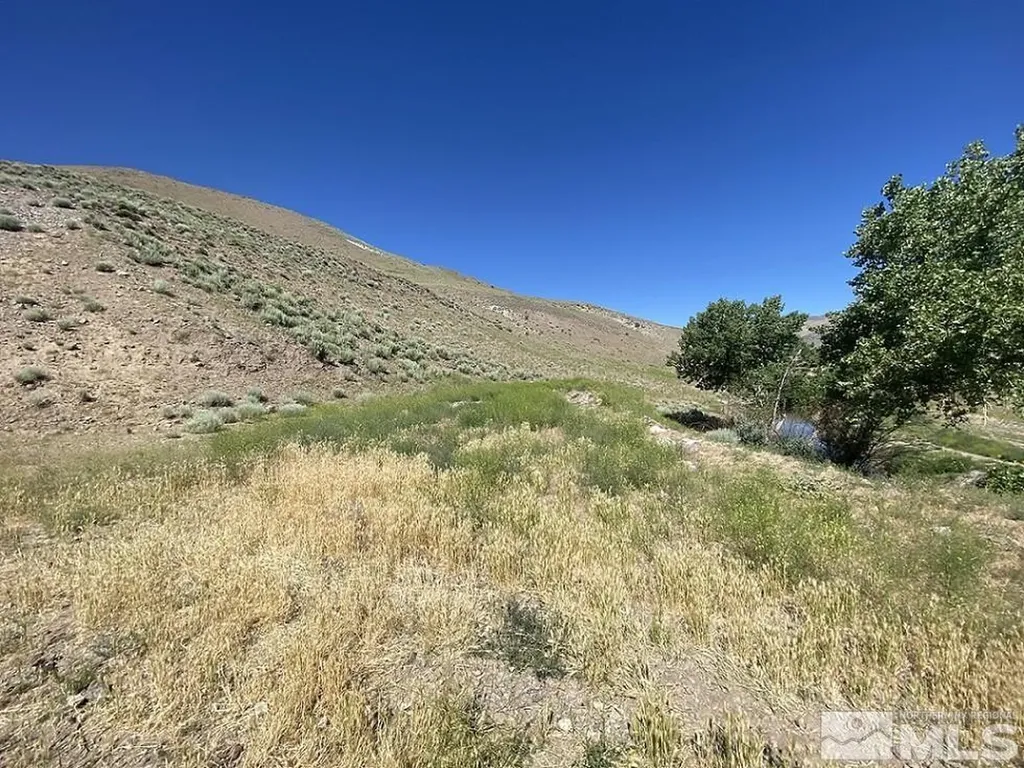 26 Valley View Wellington NV 89444
