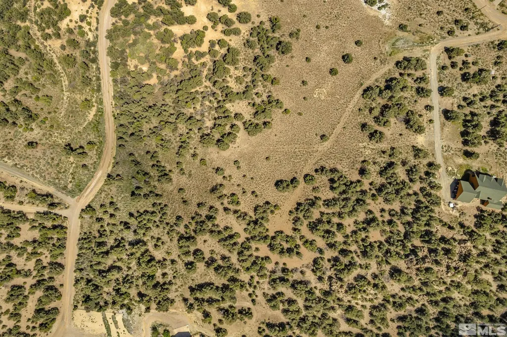 21499 Crestview Reno NV 89521