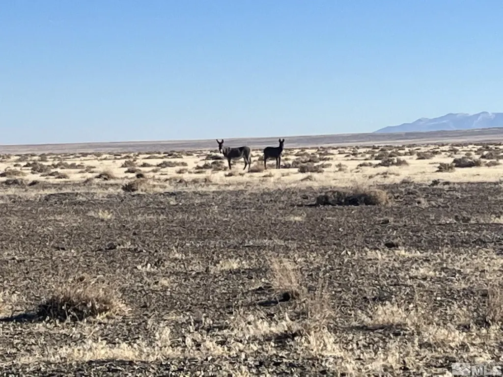 T29 Sec 9 Lovelock NV 89419