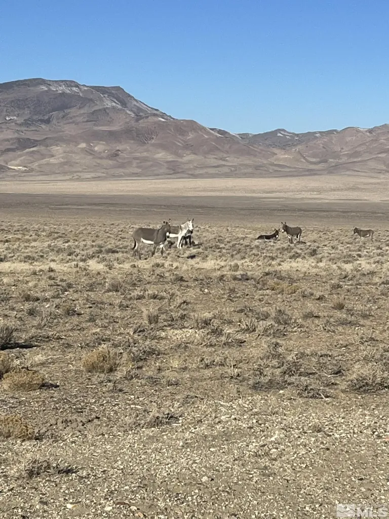 T29 Sec 9 Lovelock NV 89419