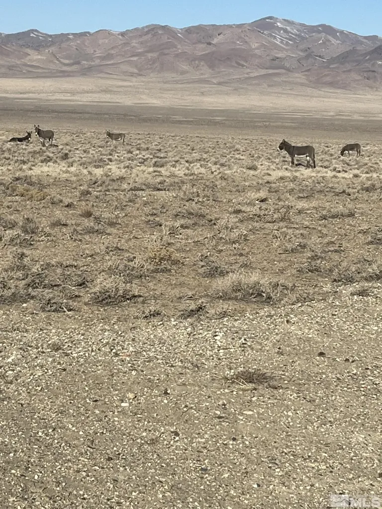 T29 Sec 9 Lovelock NV 89419