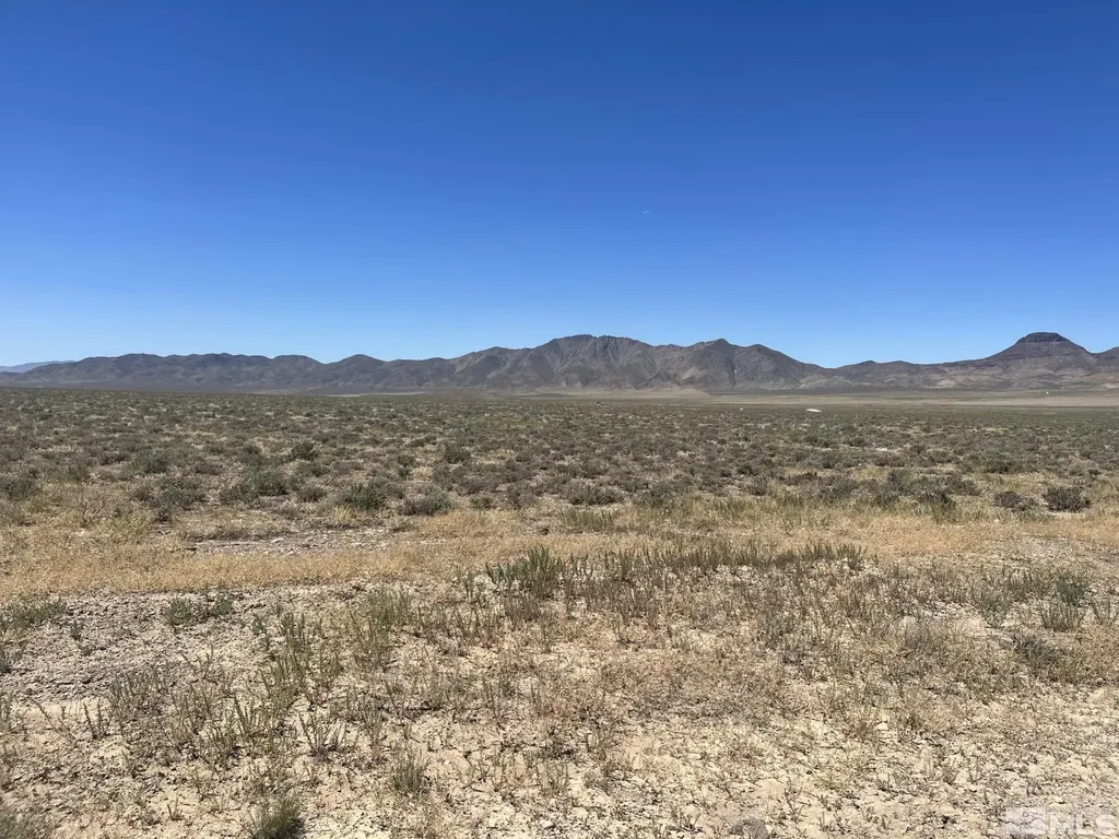 T29 Sec 9 Lovelock NV 89419