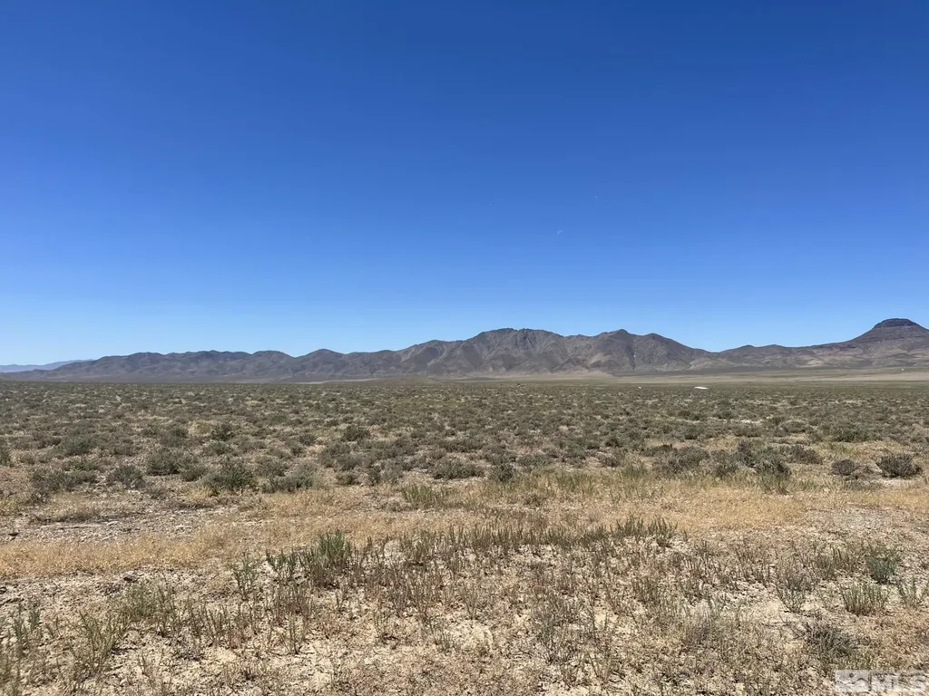 T29 Sec 9 Lovelock NV 89419