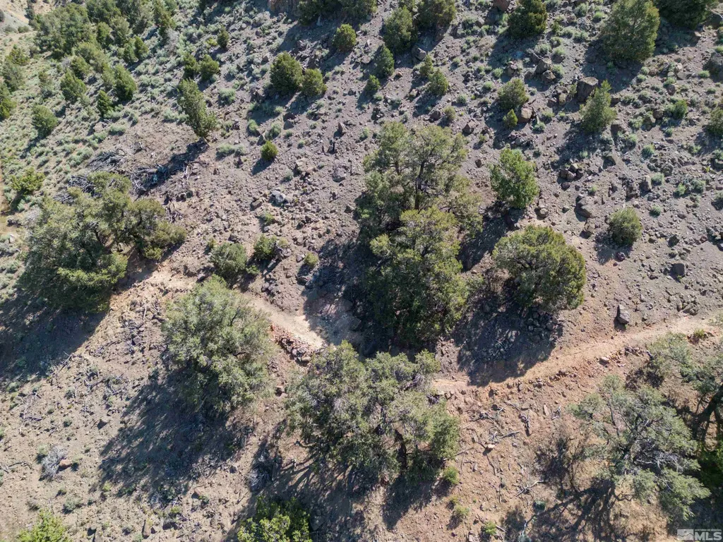 0 Kenneth Reno NV 89521