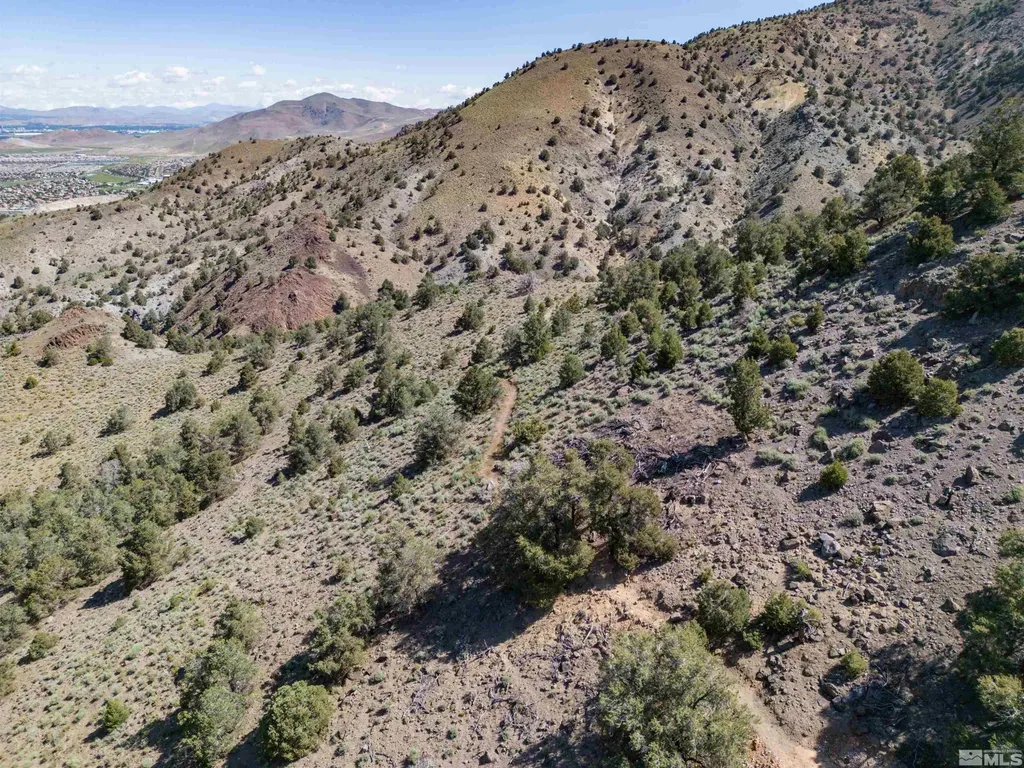 0 Kenneth Reno NV 89521