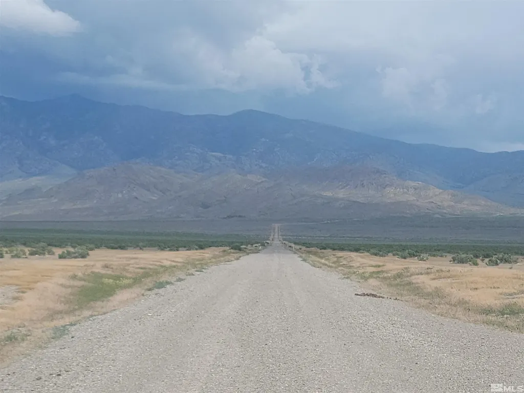 Apn 015-570-14 Lovelock NV 89419