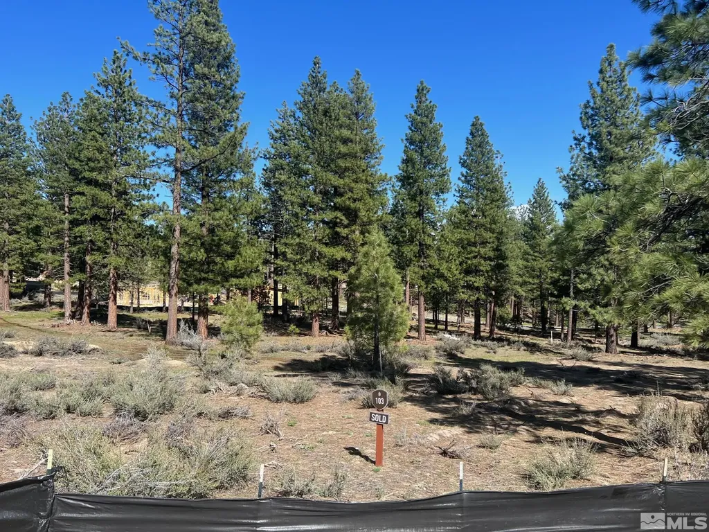 3562 Knob Point Carson City NV 89705