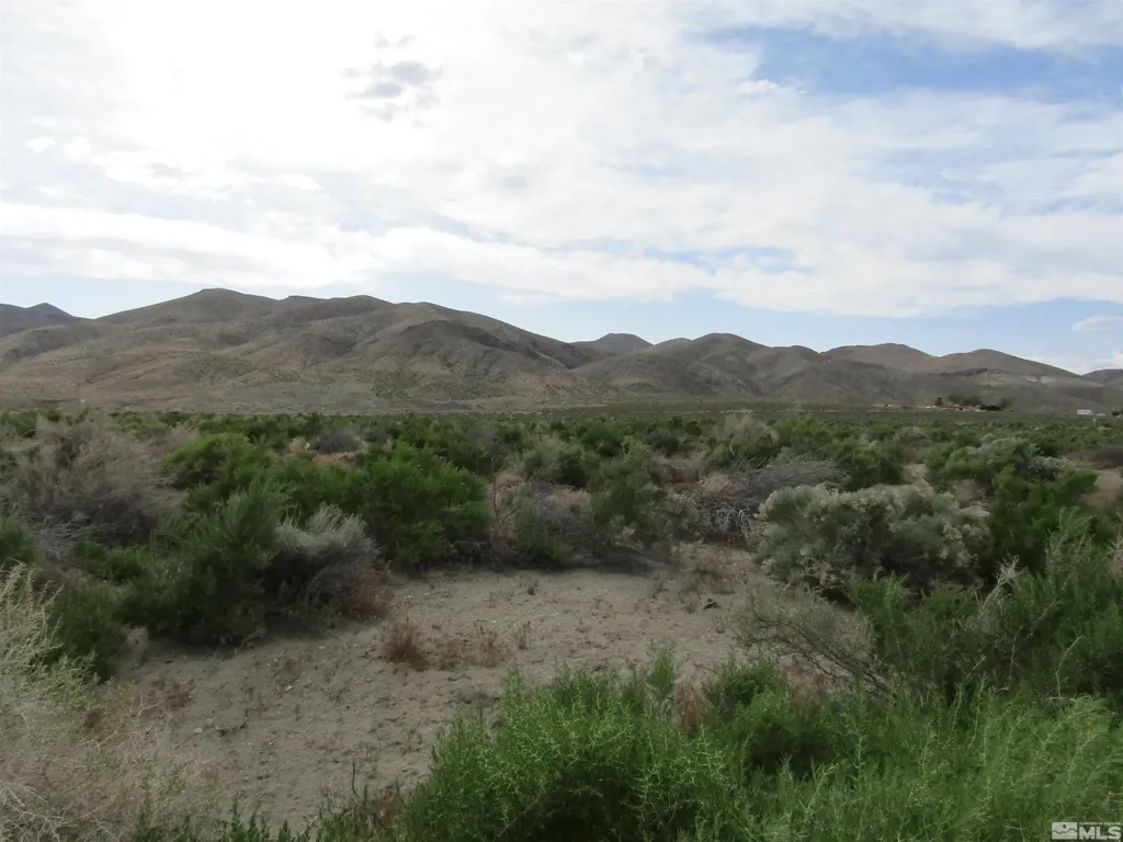 23 Shelter Hills Yerington NV 89447