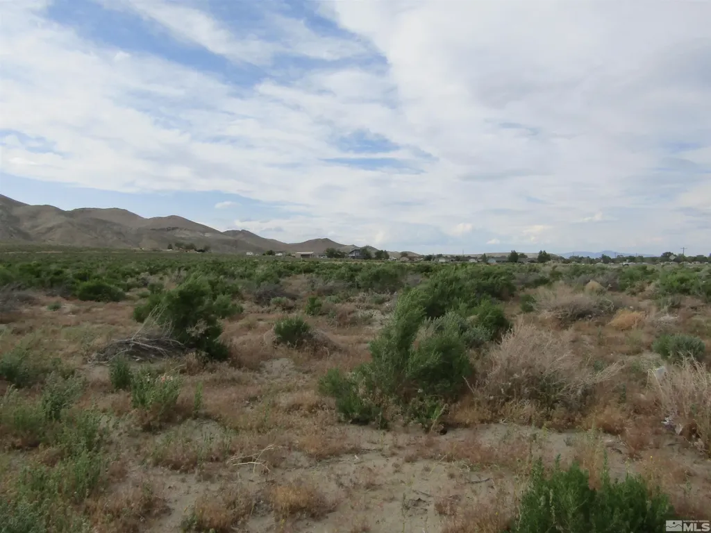 23 Shelter Hills Yerington NV 89447