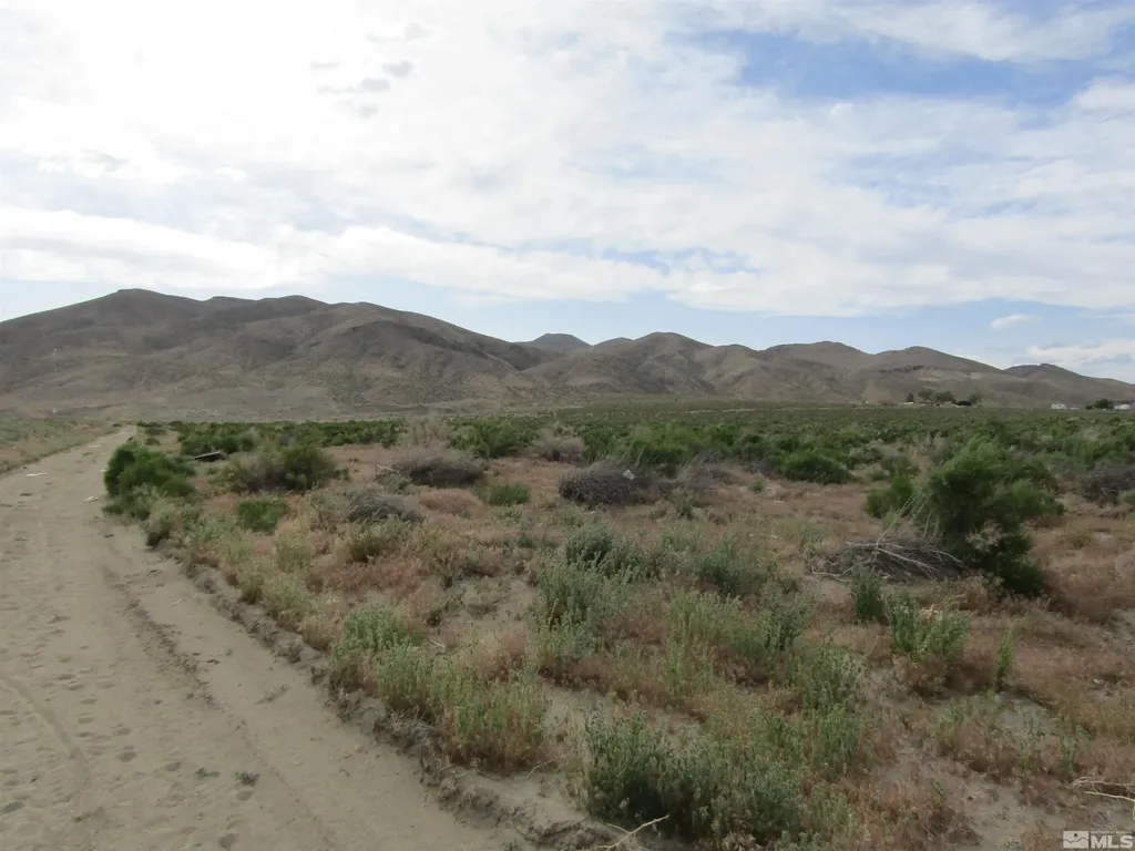 23 Shelter Hills Yerington NV 89447