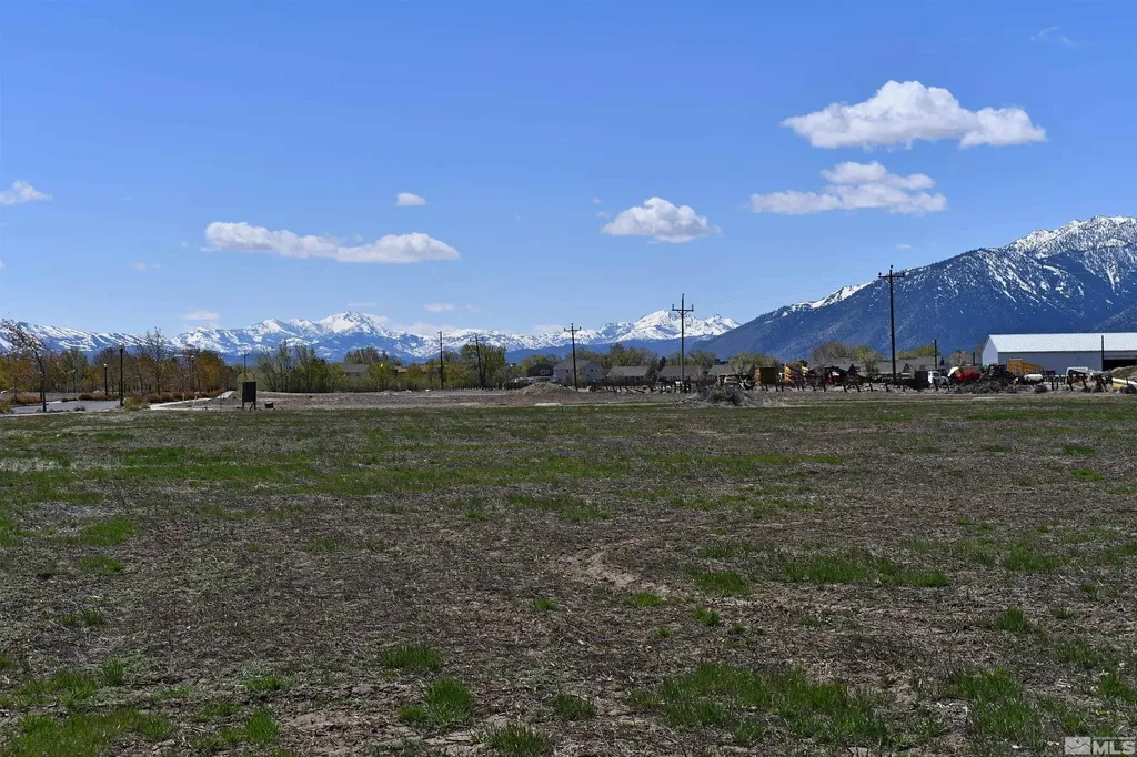 1786 Monte Minden NV 89423