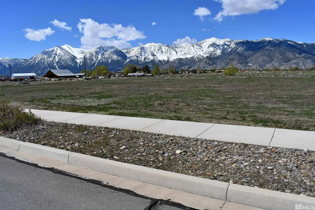 1786 Monte Minden NV 89423