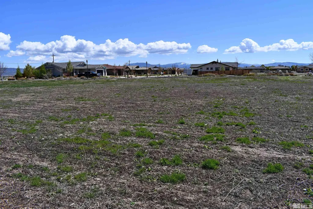 1786 Monte Minden NV 89423