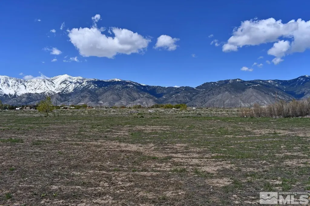 1786 Monte Minden NV 89423