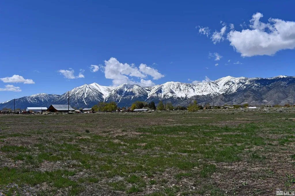 1786 Monte Minden NV 89423