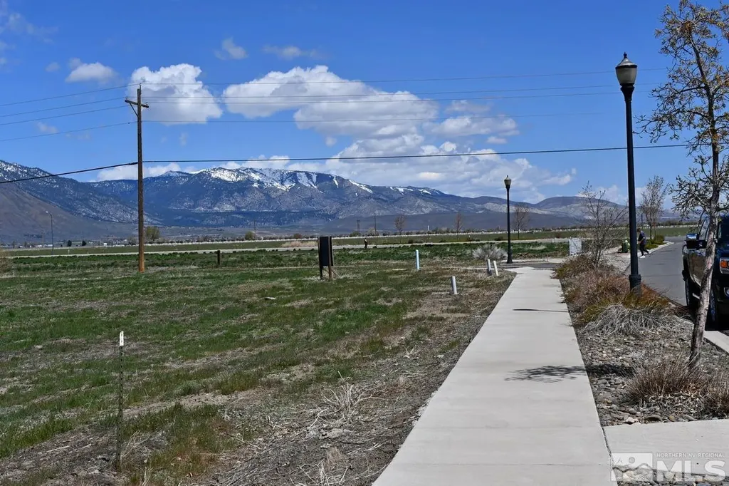 1786 Monte Minden NV 89423