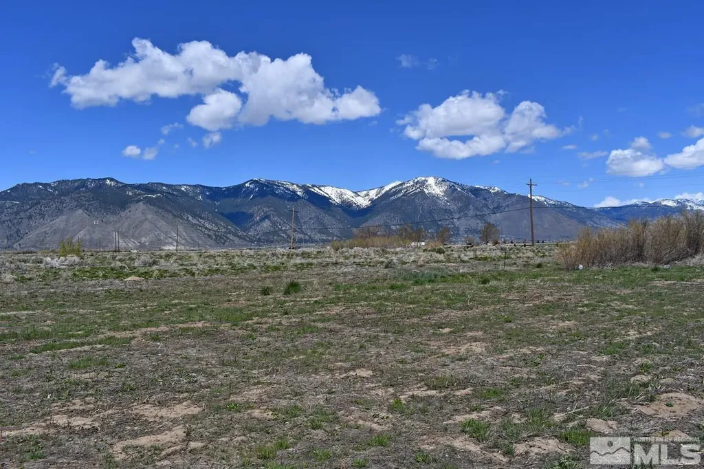 1786 Monte Minden NV 89423