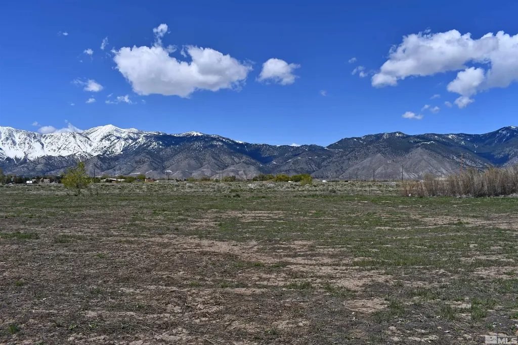 1786 Monte Minden NV 89423