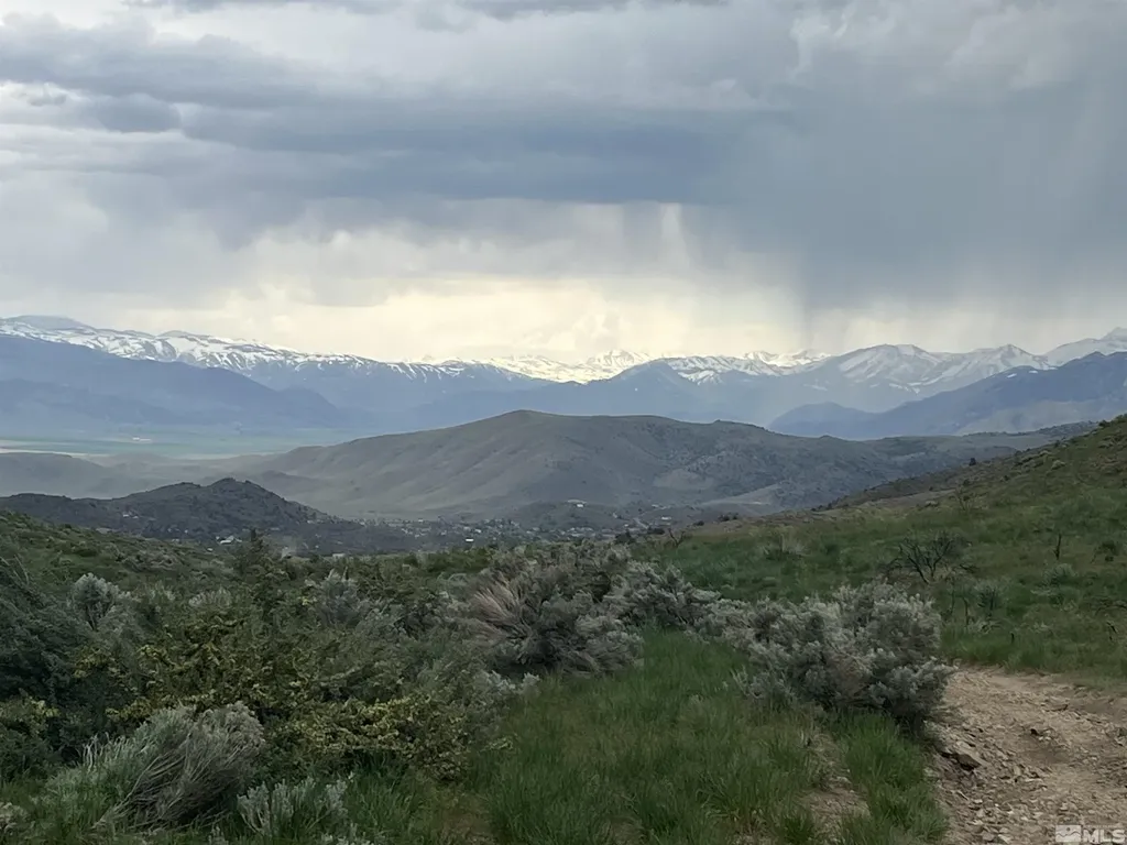 0 None Gardnerville NV 89410