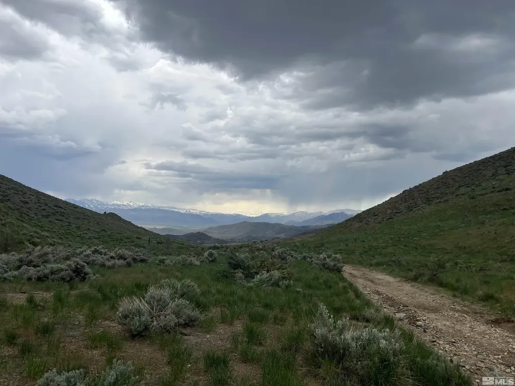 0 None Gardnerville NV 89410