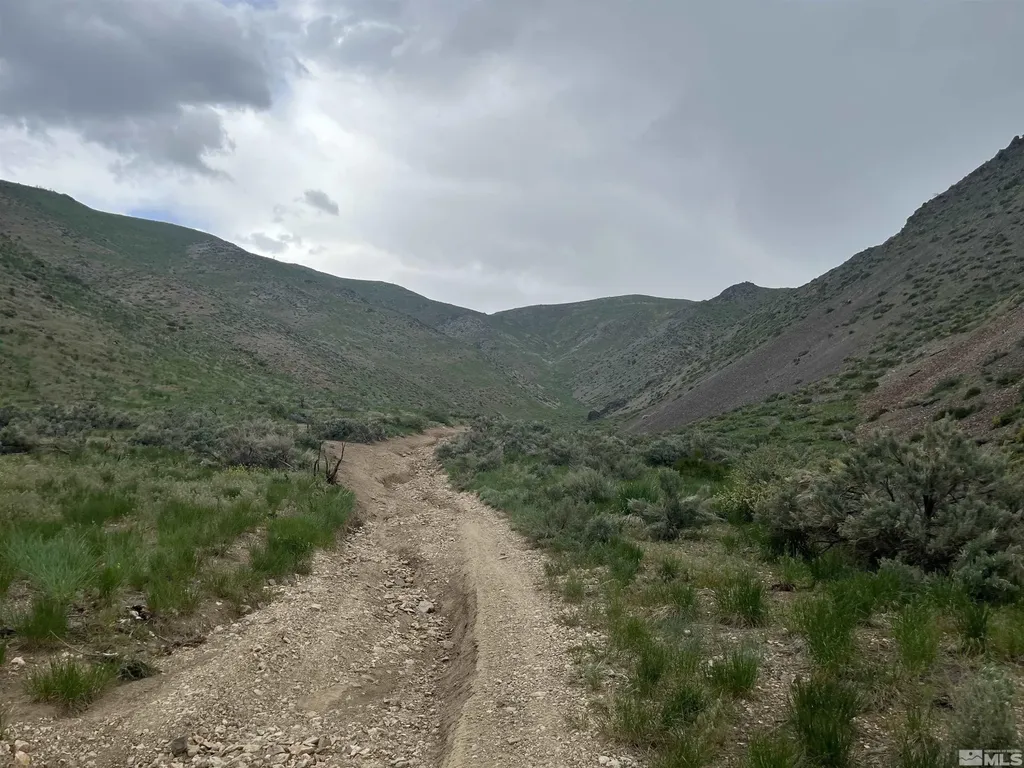 0 None Gardnerville NV 89410