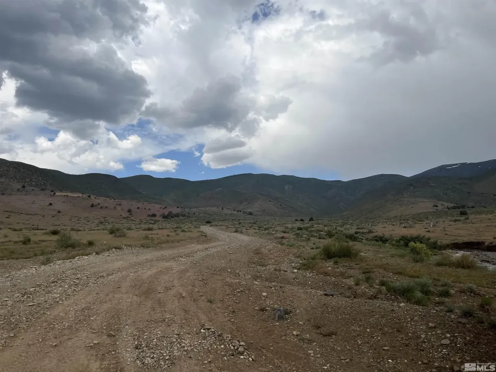 0 None Gardnerville NV 89410