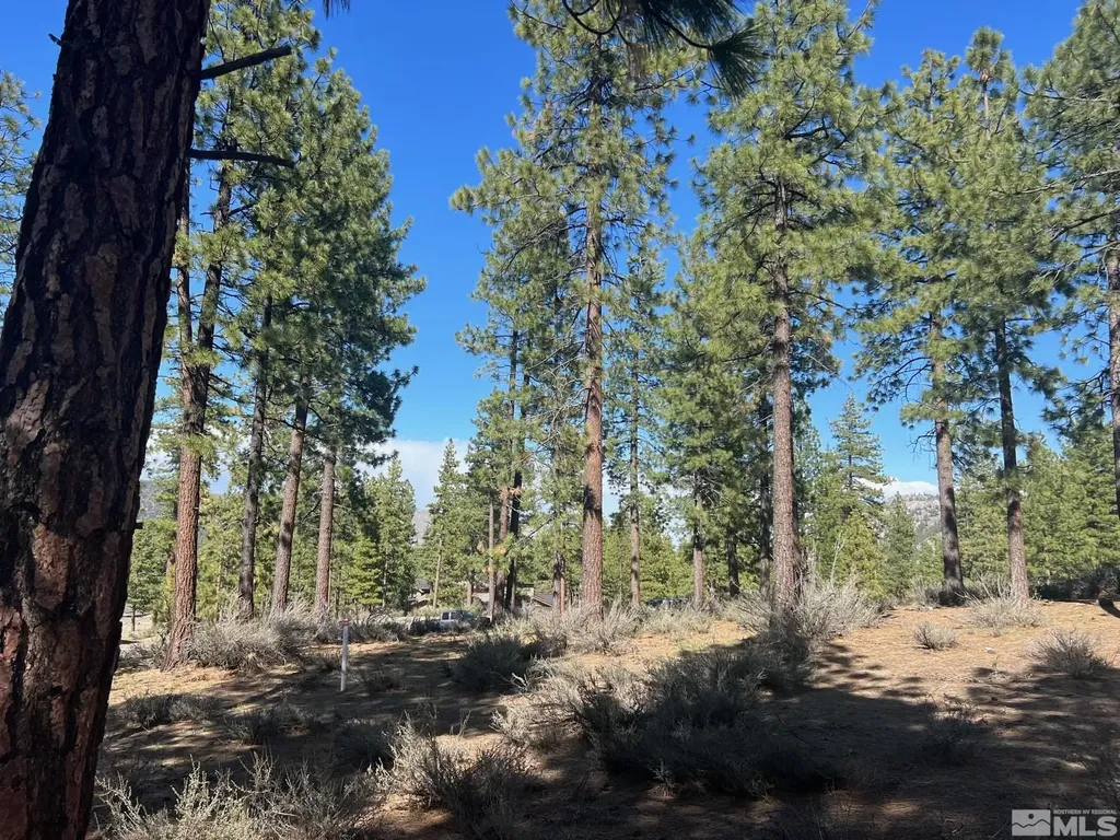 140 Walton Toll Carson City NV 89705