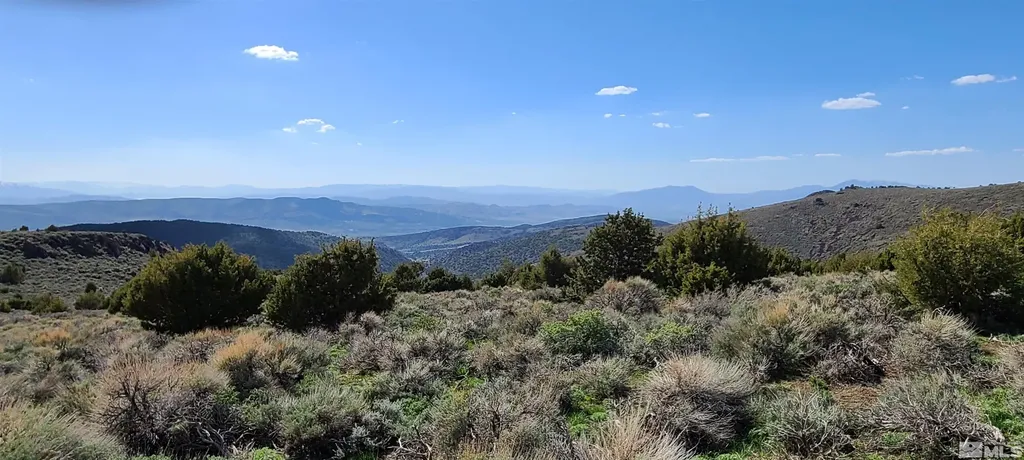 0 Left Hand Canyon Reno NV 89510