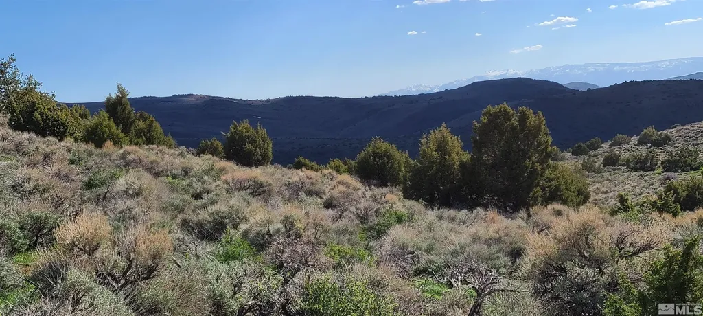0 Left Hand Canyon Reno NV 89510