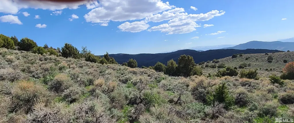 0 Left Hand Canyon Reno NV 89510