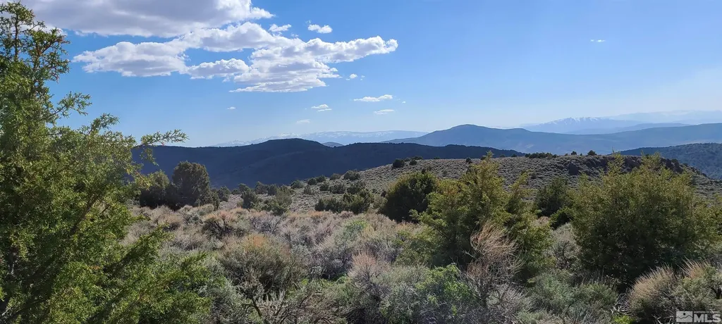 0 Left Hand Canyon Reno NV 89510