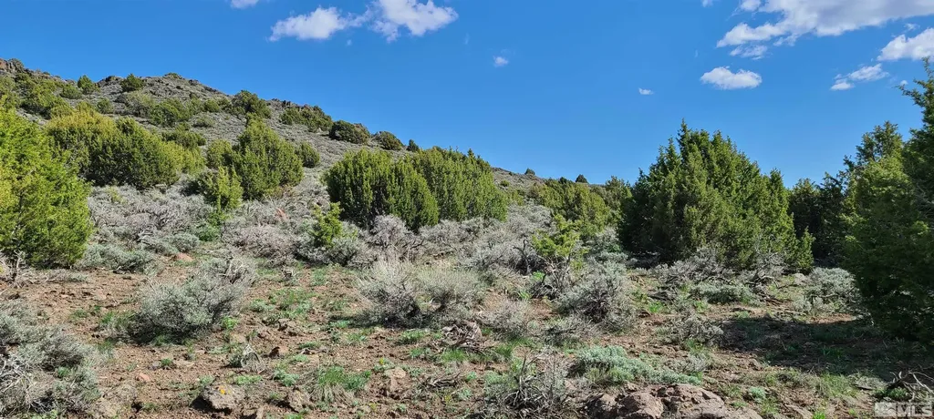 0 Left Hand Canyon Reno NV 89510