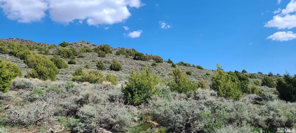 0 Left Hand Canyon Reno NV 89510