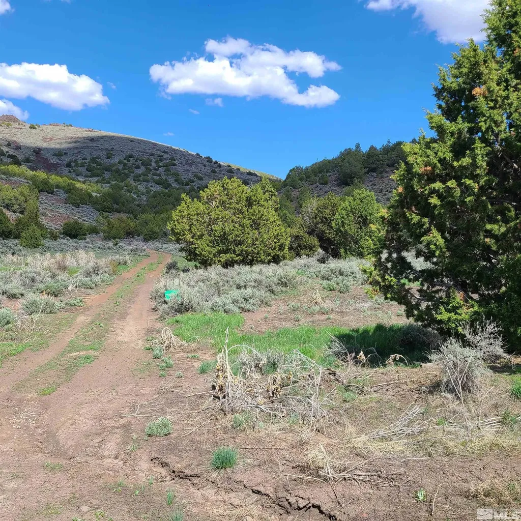 0 Left Hand Canyon Reno NV 89510
