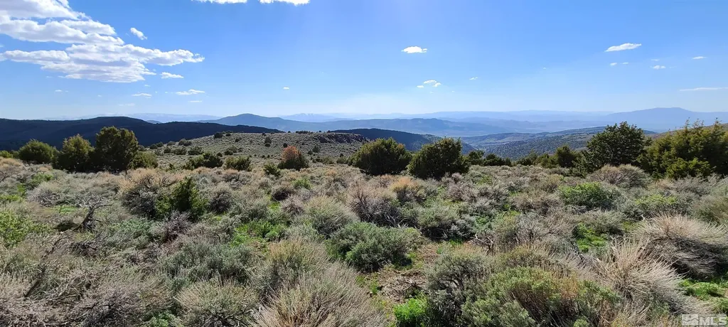 0 Left Hand Canyon Reno NV 89510