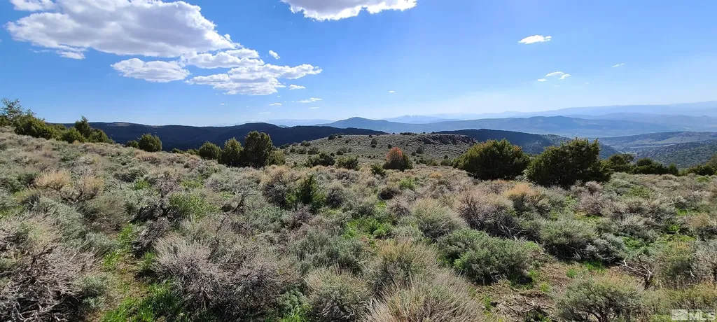 0 Left Hand Canyon Reno NV 89510